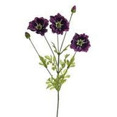 OLIVIA POPPY SPRAY PURPLE